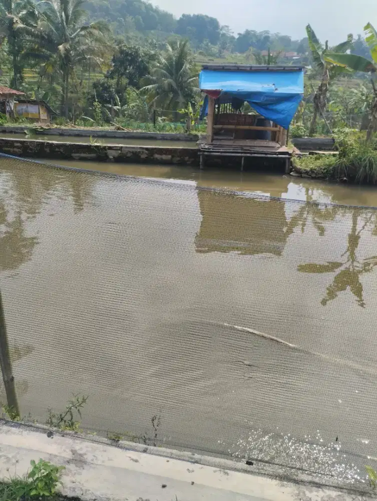 Di JUAL CEPAT TANAH