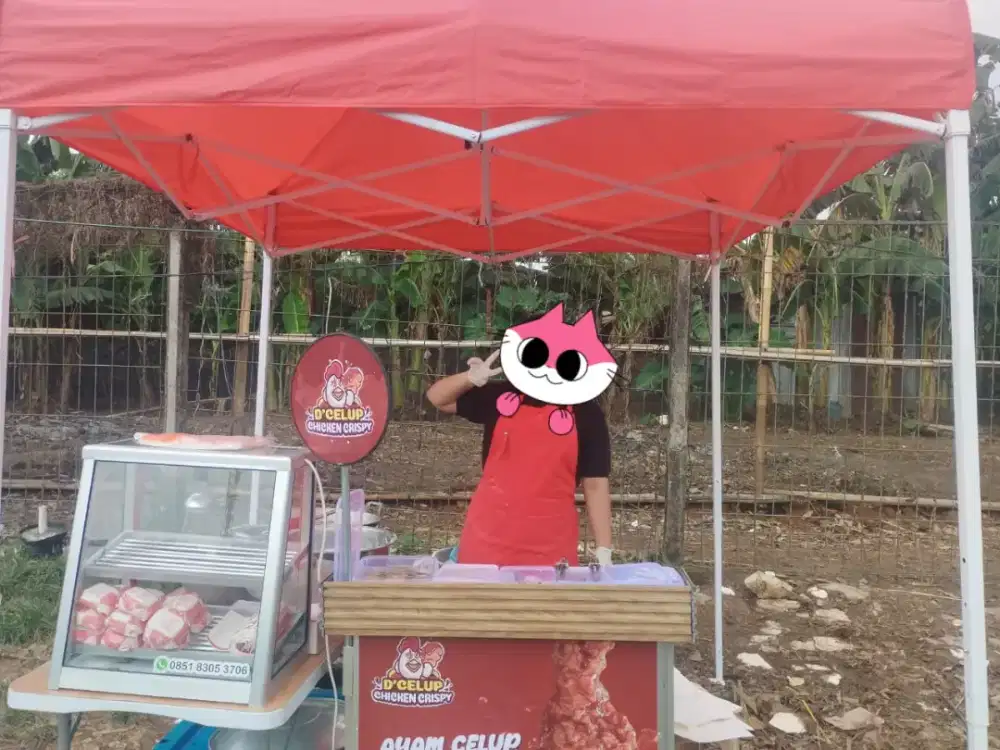 Jual Paket Usaha Ayam D'Celup