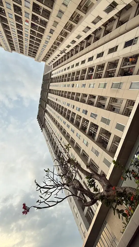 DI Jual aparatemen epis residence luas 54m