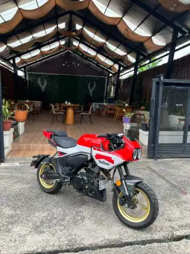 CF MOTO Papio XO 1