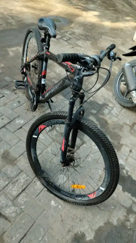 Sepeda dayung gunung
