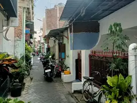 Rumah Di Jual Jojoran 5 Timur Mojo Gubeng Surabaya Jual Murah Shm