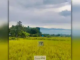 Dijual Tanah Kavling di Toba Samosir, Sumatra Utara