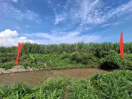 jual cepat tanah sawah komersil 0 jalan raya lokasi strategis