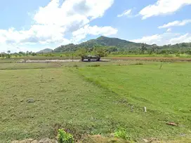 Tanah SHM Pinggir Pantai Sekotong, Luas 8 Hectare, Lombok Barat