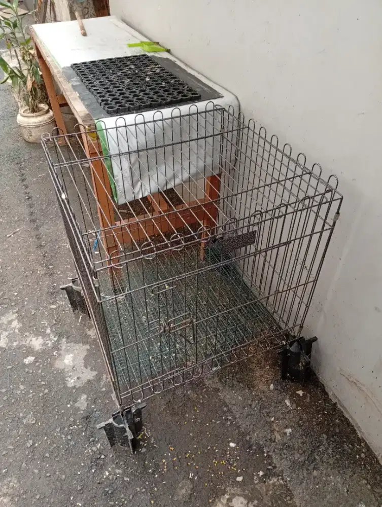 Kandang ayam kucing anjing 60x60