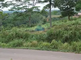 Jauh Tanah di GN Anten, Cimarga, Lebak - Banten