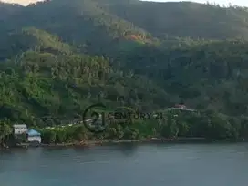 Investasi Tanah Tepi Pantai Spot Diving Coral Reef Di Tateli
