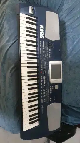 Korg pa500 kondisi mati mesin
