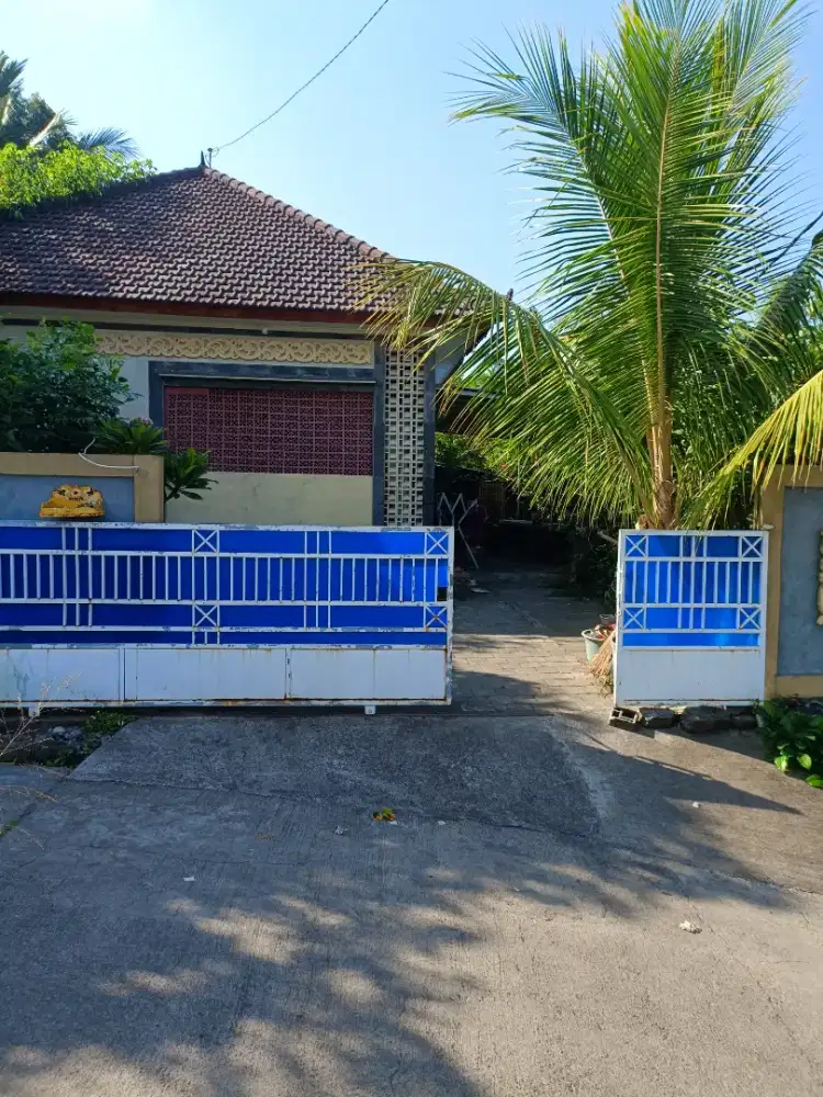 Rumah SHM + Tanah 300 m² di Panji, Sukasada, Buleleng – Rp 700 Juta