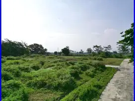 Temon Kulon Progo Tanah Jogja Murah Sertifikat SHM