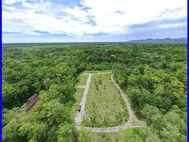 Jl. Gotakan Panjatan Jual Tanah Jogja SHM Lokasi Bagus