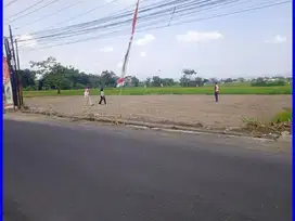 Dekat Candi Sambisari Tanah Dijual Jogja SHM Jl. Raya Sambiroto