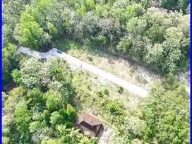 Investasi Tanah Dekat Polres Kulon Progo Kalikepek Terbaru