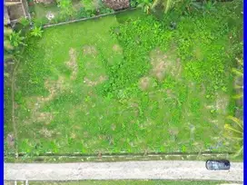 Dijual Tanah Kulur Kulon Progo Dekat Bandara YIA