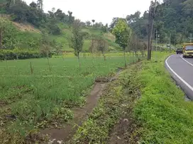 DIJUAL TANH POROS JALAN BATU NGANTANG MALANG