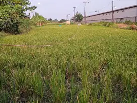 Dijual Tanah Siap Bangun di Jl. Raya Sidogiri, Sungiwetan Kab Pasuruan
