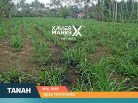 Dijual Tanah Di Daerah Desa Tirtoyudo Dampit Malang (OLX665)