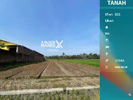 Tanah Kavling Luas Pinggir Jalan Raya Banjarejo Pakis Malang(OLX639)