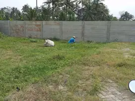 TANAH KAVLING MURAH AREA TUMPANG MALANG