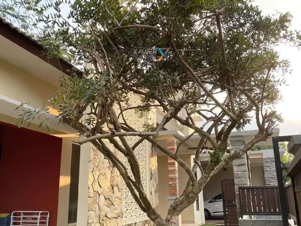 Rumah cantik asri murah strategis furnish plus elektronik tidar malang