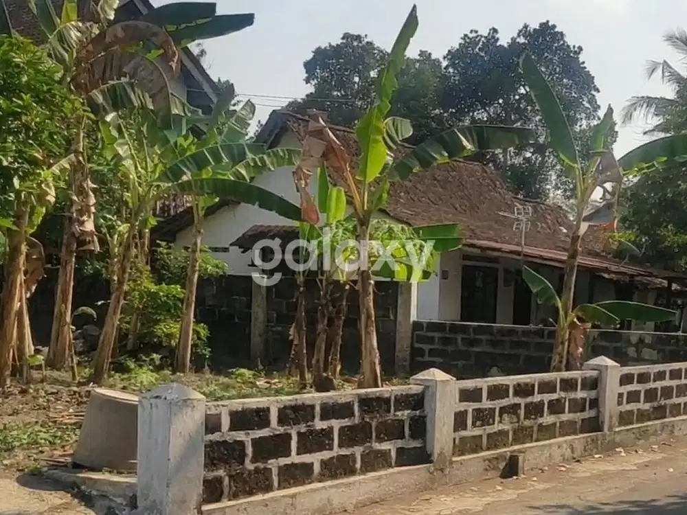 Tanah Bagus di Jogja Utara, Hanya 100 meter dari Jl.Magelang - WI