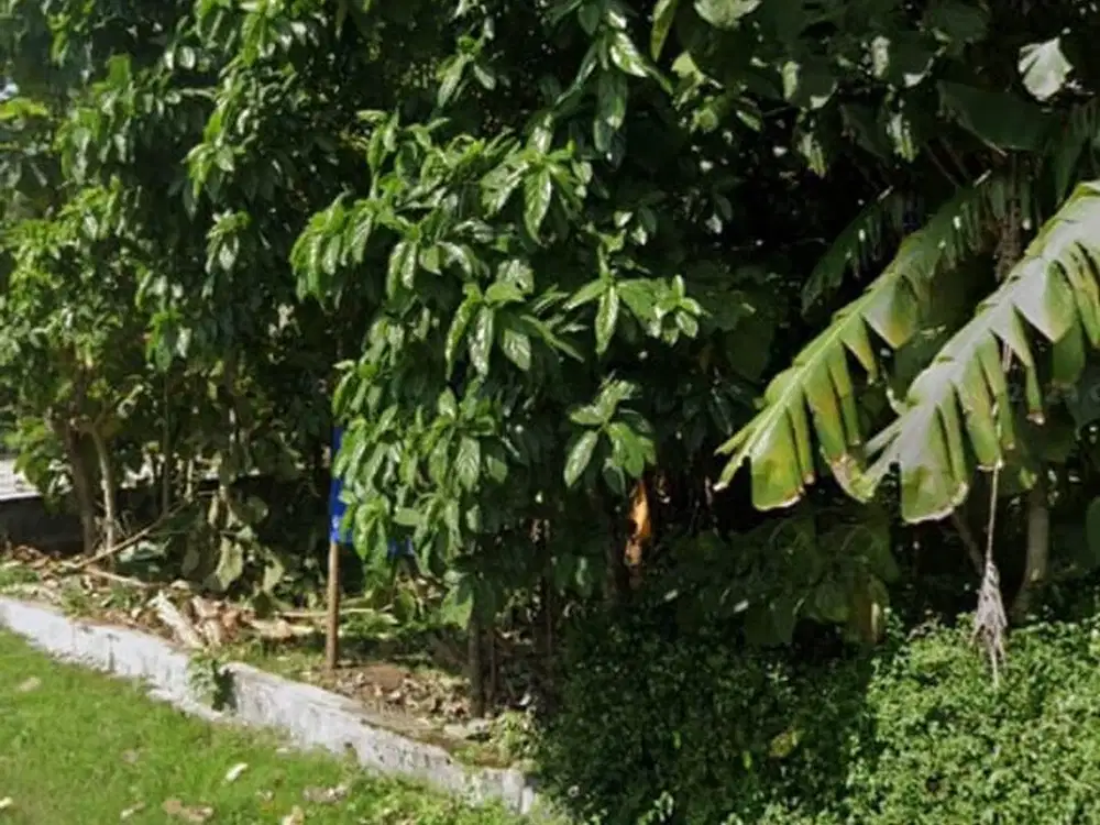 Tanah Pekarangan Luas 1150 Meter Persegi Dekat Pusat Kota Wates