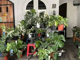 Dijual Rumah Cantik dan Aesthetic di Permata Taman Sari Asri Bandung
