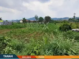 DIJUAL TANAH KEBON di Raya Pujon - Cocok Komersial