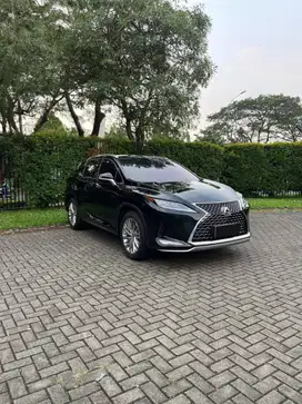 Lexus RX 300 Luxury 2020