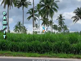 Tanah strategis luas 5,8 ha di poros jalan utama Dampit, Malang