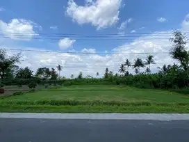 TANAH KAVLING LUAS MURAB DI PAKIS MALANG