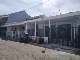 Murah Rumah Full Bangunan Baru Renovasi Di Rungkut Mapan Barat