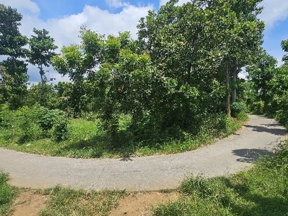 Tanah datar view laut di dataran tinggi dekat proyek  airpprt
