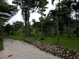 Tanah di Jln. Pesantren, Beserta Bangunan Mewah Strategis