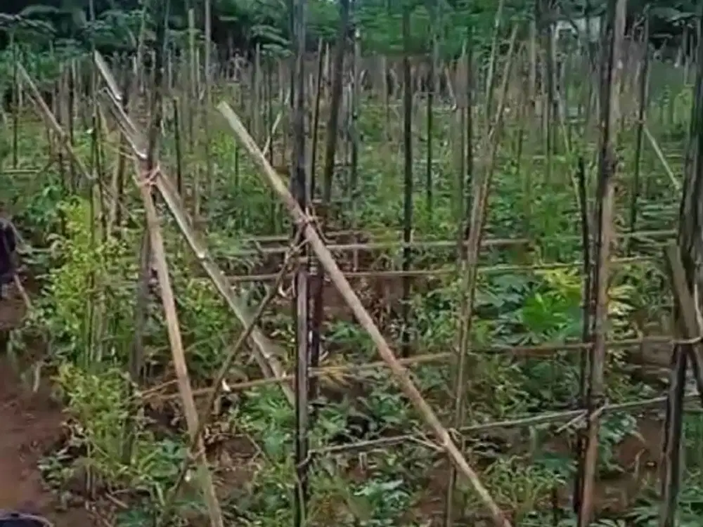 f007 Tanah Produktif Harga Miring di Malang