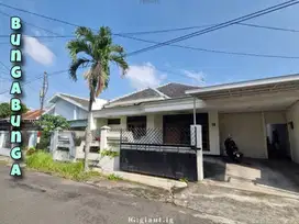 Rumah Klasik Terawat daerah bunga bunga Sukarno Hatta Lowokwaru Malang