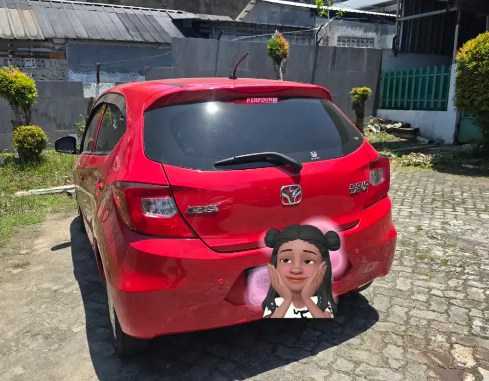Brio E manual 2021