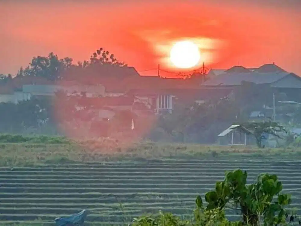 Tanah Jalan Subak Canggu Berawa