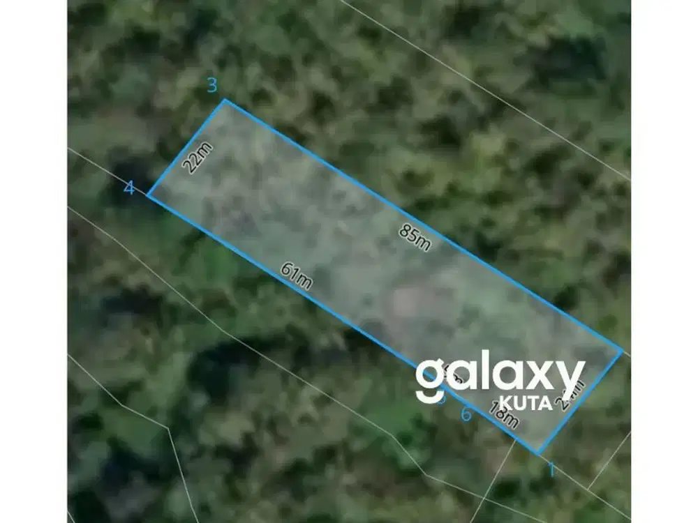 TANAH KEBUN DI DESA LALANG LINGGAH SELEMADEG BARAT TABANAN, BALI