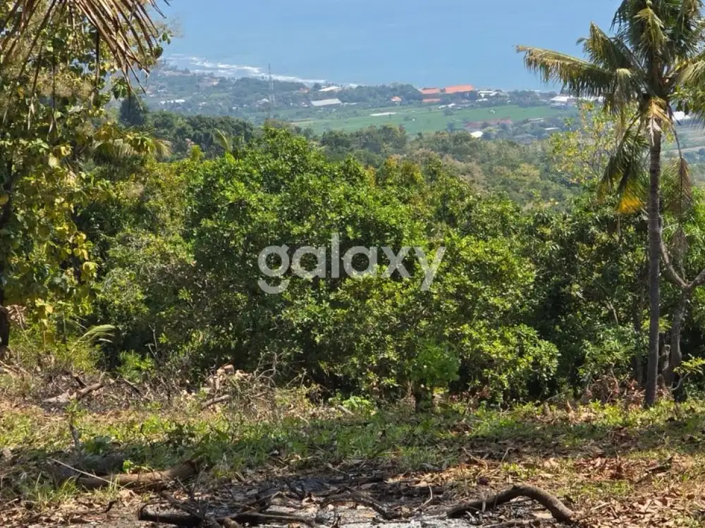 Dijual Tanah 15,9 are di Lovina, Buleleng