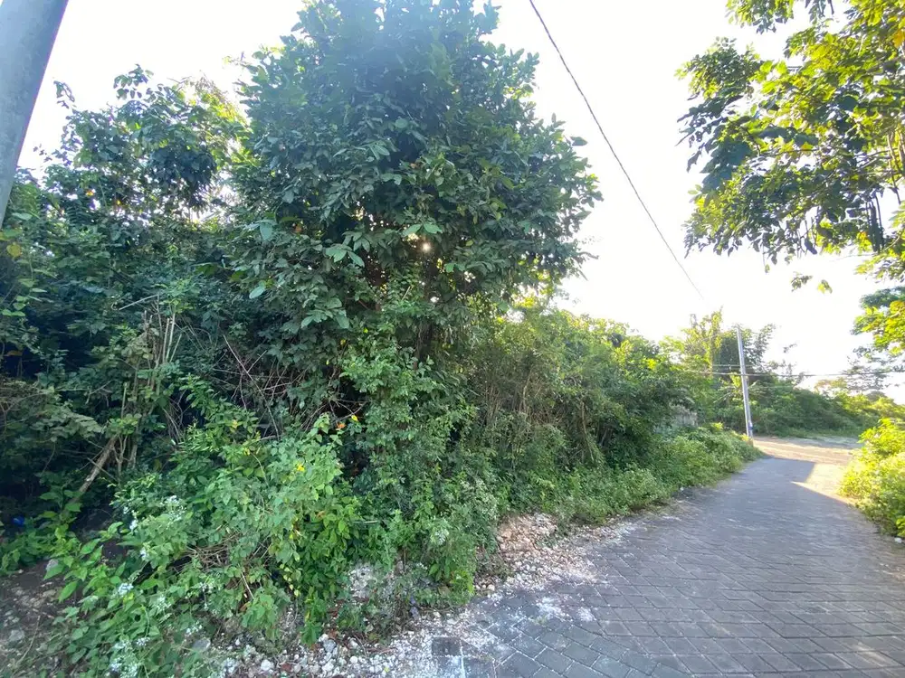 Tanah MURAH Jl Gunung Payung Pandawa