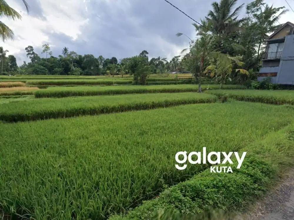 TANAH ZONA KUNING DI PEJENG TAMPAK SIRING GIANYAR, BALI