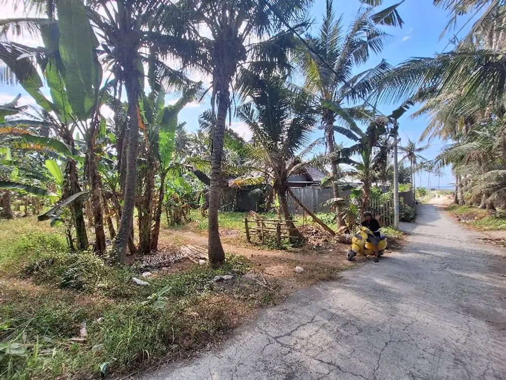 Tanah  Dekat Pantai Saba Gianyar