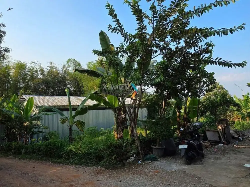 Dijual Tanah Kavling di Semanding Sumbersekar, Dau Malang