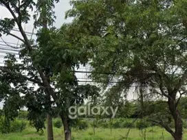 Tanah Uruk 0 Tol Manyar Mojokerto