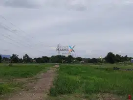 Dijual Tanah di Poros Jl Pahlawan Sunaryo Raya Pandaan Bangil Pasuruan