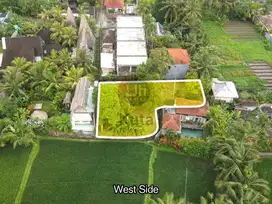 Tanah view Sawah Jl Sanggingan central Ubud