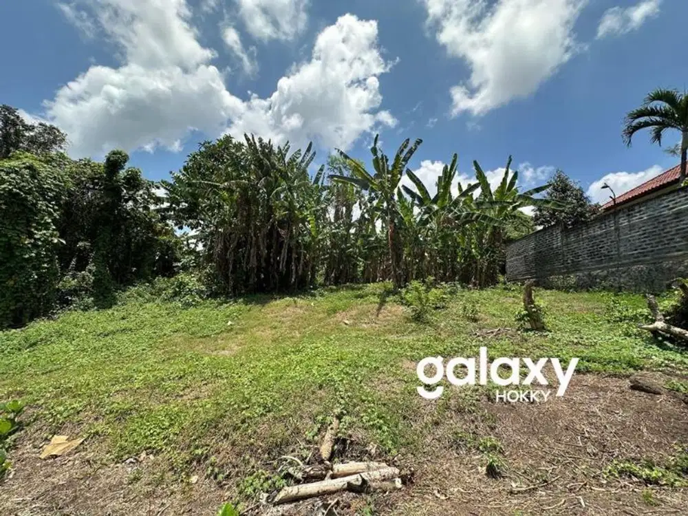 TANAH DR IR SOEKARNO RAMBUTAN DELOD PEKEN TABANAN, BALI
