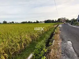 Tanah strategis kanigoro blitar